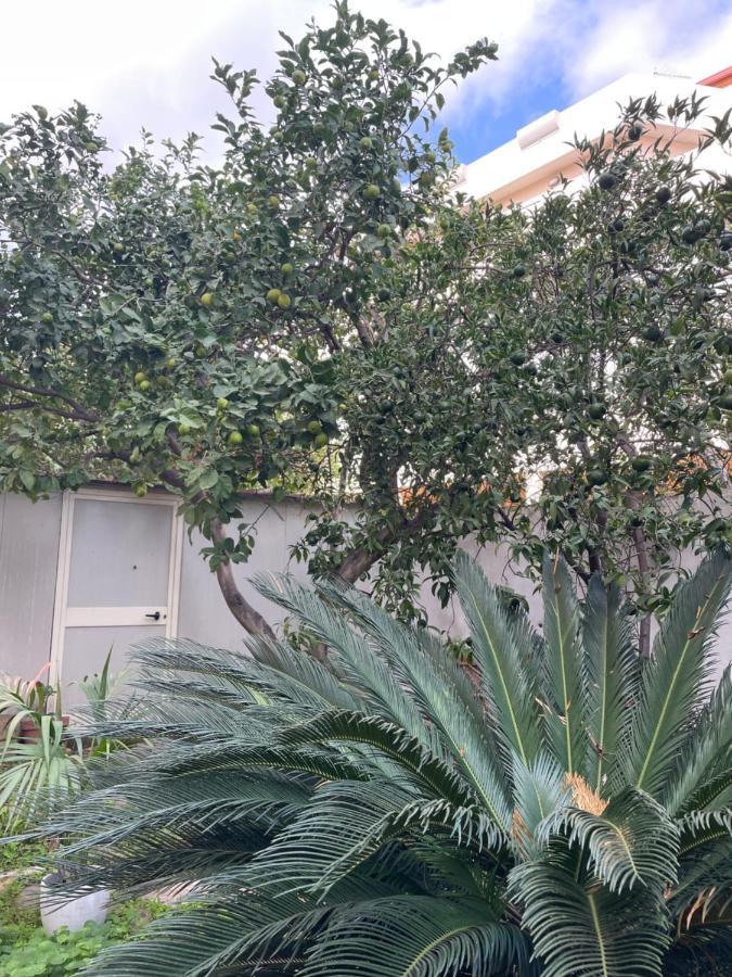 דירות קליארי Tangerine Tree House מראה חיצוני תמונה