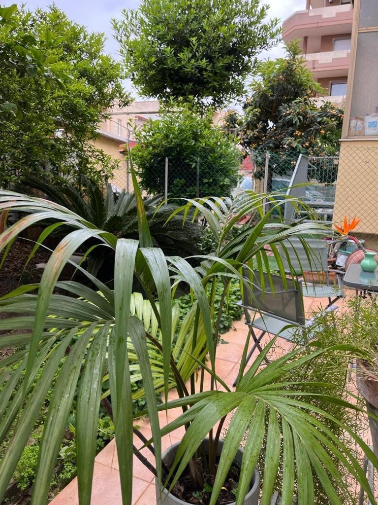 דירות קליארי Tangerine Tree House מראה חיצוני תמונה